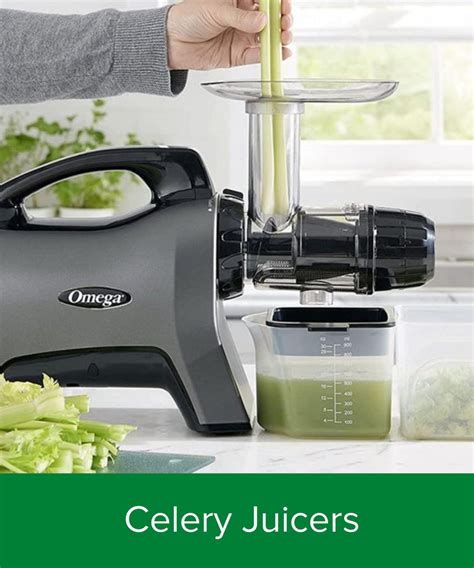 omega juicer australia|omega juicer celery.